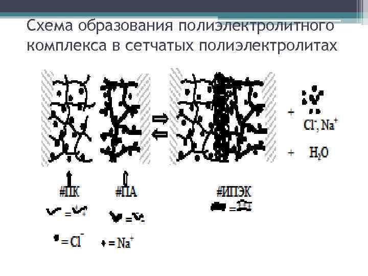 Схема образования полиэлектролитного комплекса в сетчатых полиэлектролитах 