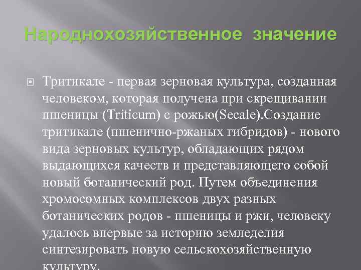 Народнохозяйственное значение Тритикале первая зерновая культура, созданная человеком, которая получена при скрещивании пшеницы (Triticum)