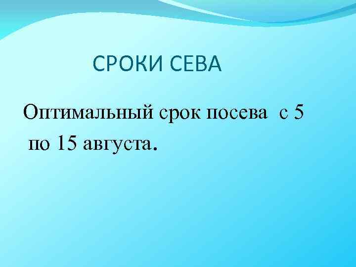 СРОКИ СЕВА Оптимальный срок посева с 5 по 15 августа. 