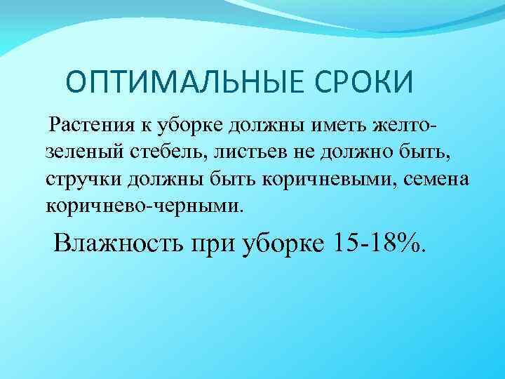 ОПТИМАЛЬНЫЕ СРОКИ Растения к уборке должны иметь желто- зеленый стебель, листьев не должно быть,