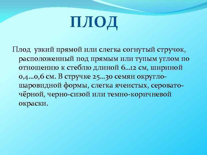 ПЛОД Плод узкий прямой или слегка согнутый стручок, расположенный под прямым или тупым углом