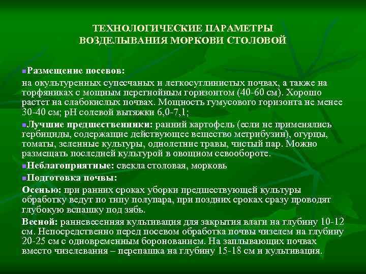ТЕХНОЛОГИЧЕСКИЕ ПАРАМЕТРЫ ВОЗДЕЛЫВАНИЯ МОРКОВИ СТОЛОВОЙ Размещение посевов: на окультуренных супесчаных и легкосуглинистых почвах, а