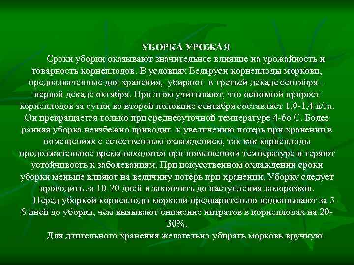 УБОРКА УРОЖАЯ Сроки уборки оказывают значительное влияние на урожайность и товарность корнеплодов. В условиях