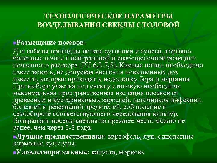 ТЕХНОЛОГИЧЕСКИЕ ПАРАМЕТРЫ ВОЗДЕЛЫВАНИЯ СВЕКЛЫ СТОЛОВОЙ Размещение посевов: Для свёклы пригодны легкие суглинки и супеси,