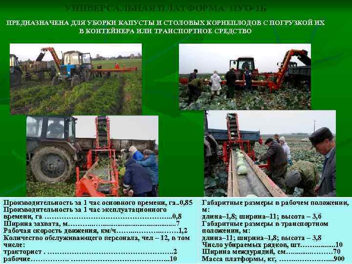 УНИВЕРСАЛЬНАЯ ПЛАТФОРМА ПУО-1 Б ПРЕДНАЗНАЧЕНА ДЛЯ УБОРКИ КАПУСТЫ И СТОЛОВЫХ КОРНЕПЛОДОВ С ПОГРУЗКОЙ ИХ
