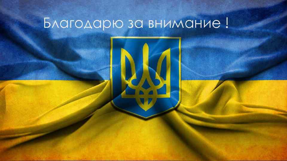 Благодарю за внимание ! 