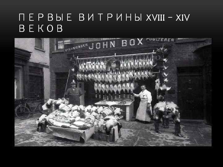 ПЕРВЫЕ ВИТРИНЫ XVIII – XIV ВЕКОВ 