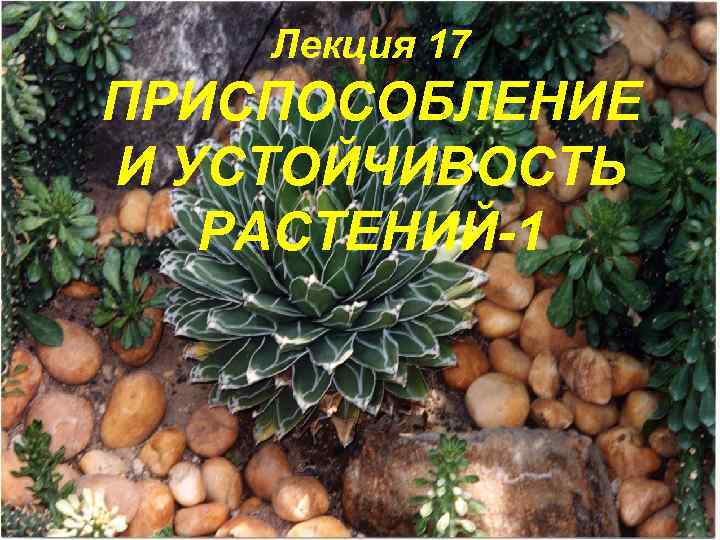 Лекция 17 ПРИСПОСОБЛЕНИЕ И УСТОЙЧИВОСТЬ РАСТЕНИЙ-1 