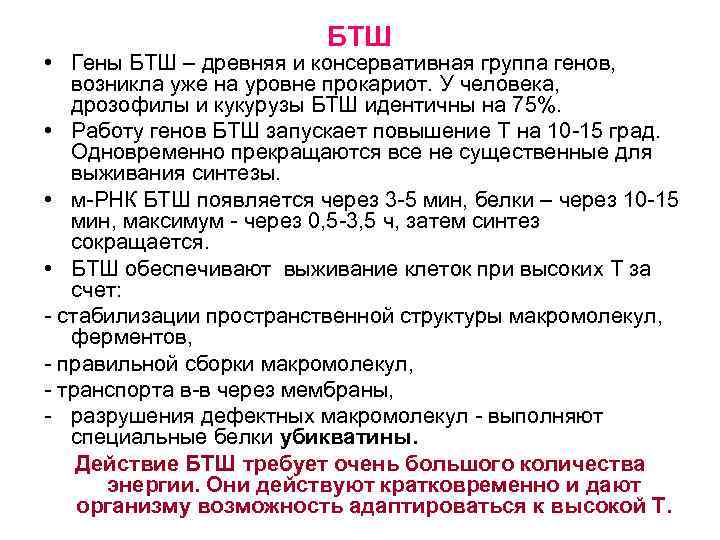 БТШ • Гены БТШ – древняя и консервативная группа генов, возникла уже на уровне