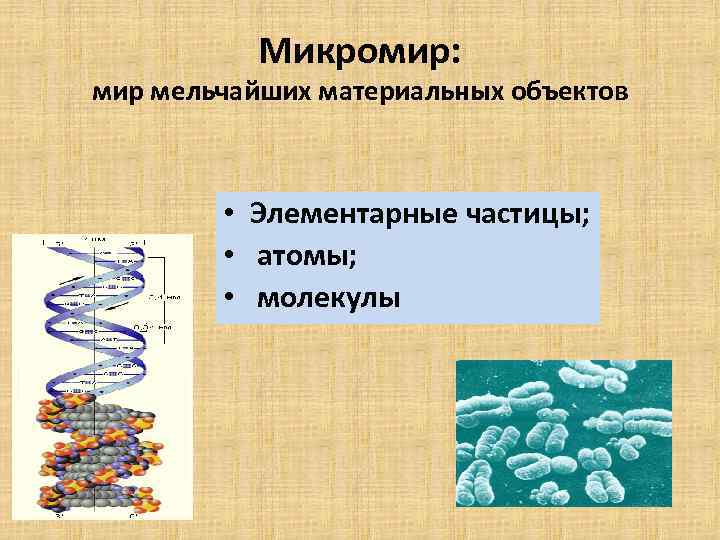 Микромир: мир мельчайших материальных объектов • Элементарные частицы; • атомы; • молекулы 