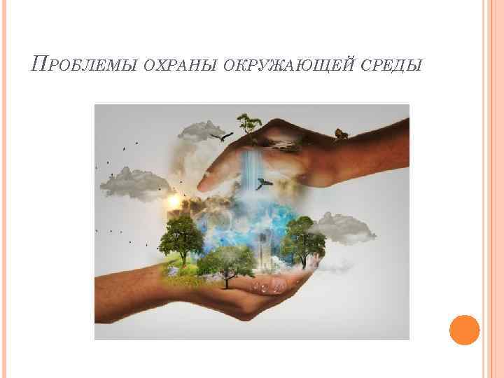 ПРОБЛЕМЫ ОХРАНЫ ОКРУЖАЮЩЕЙ СРЕДЫ 