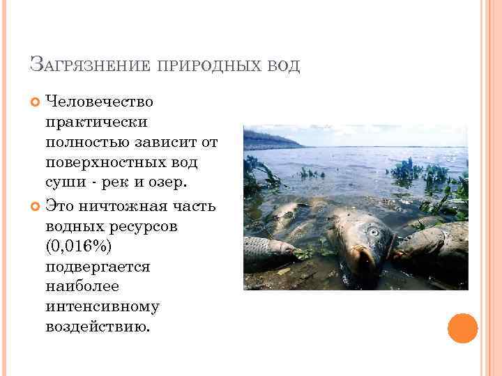 ЗАГРЯЗНЕНИЕ ПРИРОДНЫХ ВОД Человечество практически полностью зависит от поверхностных вод суши - рек и