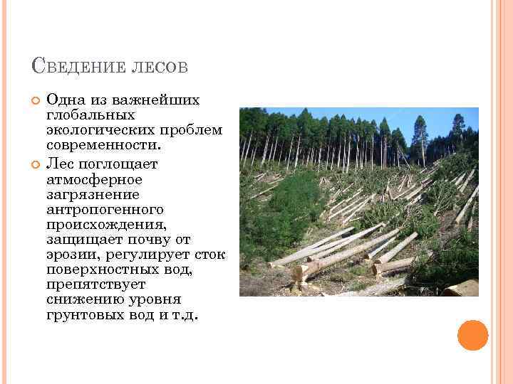 СВЕДЕНИЕ ЛЕСОВ Одна из важнейших глобальных экологических проблем современности. Лес поглощает атмосферное загрязнение антропогенного