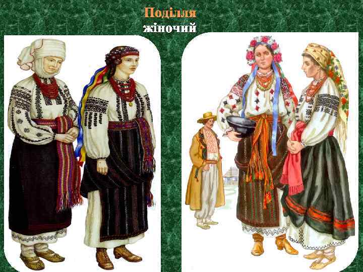 Поділля жіночий 