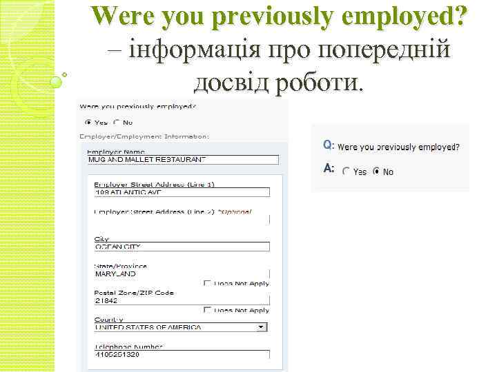 Were you previously employed? – інформація про попередній досвід роботи. 