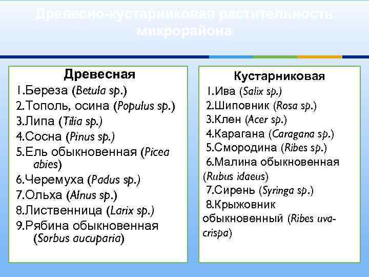Древесно-кустарниковая растительность микрорайона Древесная 1. Береза (Betula sp. ) 2. Тополь, осина (Populus sp.
