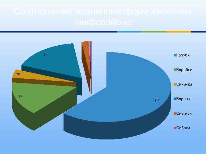 Соотношение жизненных форм животных микрорайона 9 2 Голуби 87 Воробьи 20 Синички 80 317
