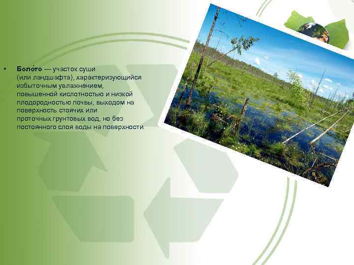  • Боло то — участок суши (или ландшафта), характеризующийся избыточным увлажнением, повышенной кислотностью