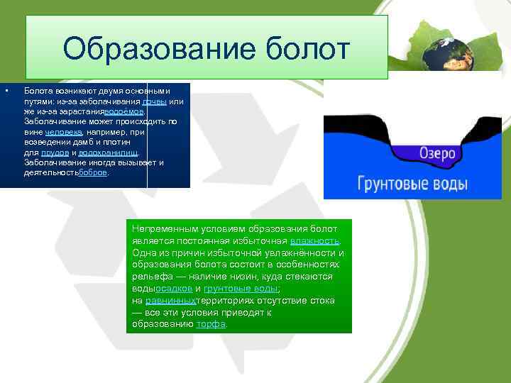 Укажите образование болот. Условия образования болот. Факторы образования болот. Болота причины образования. Условия формирования болот.