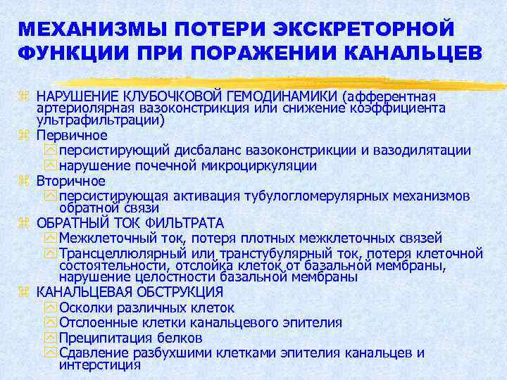 МЕХАНИЗМЫ ПОТЕРИ ЭКСКРЕТОРНОЙ ФУНКЦИИ ПРИ ПОРАЖЕНИИ КАНАЛЬЦЕВ z НАРУШЕНИЕ КЛУБОЧКОВОЙ ГЕМОДИНАМИКИ (афферентная артериолярная вазоконстрикция