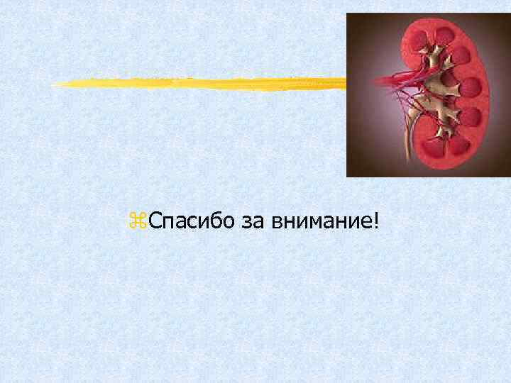 z. Спасибо за внимание! 