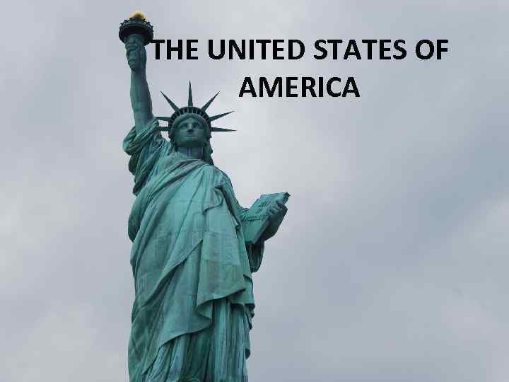 THE UNITED STATES OF AMERICA 