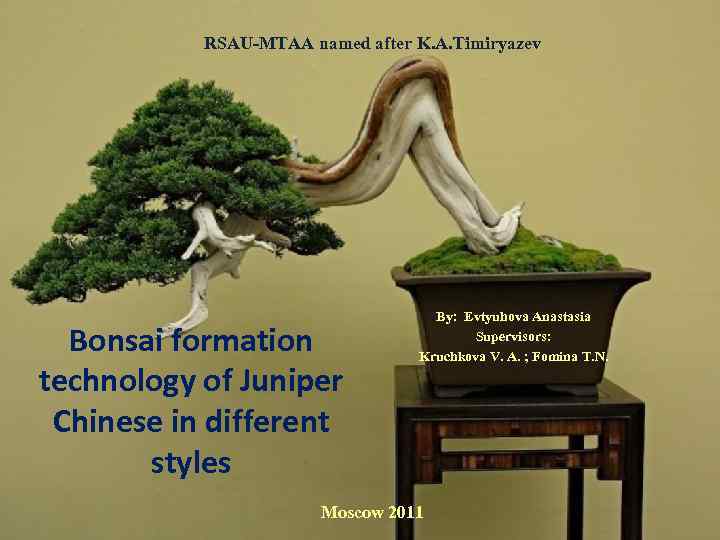 RSAU-MTAA named after K. A. Timiryazev Bonsai formation technology of Juniper Chinese in different