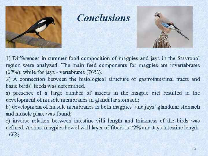 Conclusions 1) Differences in summer food composition of magpies and jays in the Stavropol