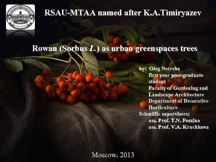 RSAU-MTAA named after K. A. Timiryazev Rowan (Sorbus L. ) as urban greenspaces trees