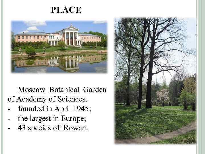 PLACE Moscow Botanical Garden of Academy of Sciences. - founded in April 1945; -