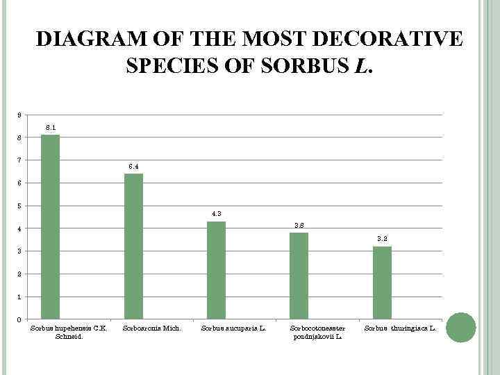DIAGRAM OF THE MOST DECORATIVE SPECIES OF SORBUS L. 9 8. 1 8 7