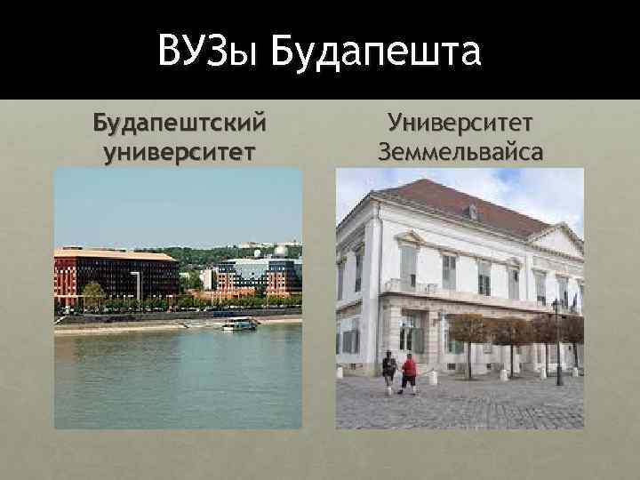 ВУЗы Будапешта Будапештский университет Университет Земмельвайса 