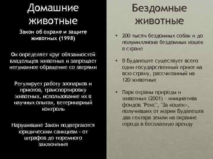 Домашние животные Закон об охране и защите животных (1998) Он определяет круг обязанностей владельцев