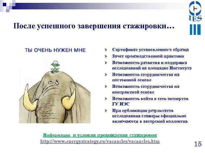 После успешного завершения стажировки… Ø Ø Ø Ø Сертификат установленного образца Зачет производственной практики