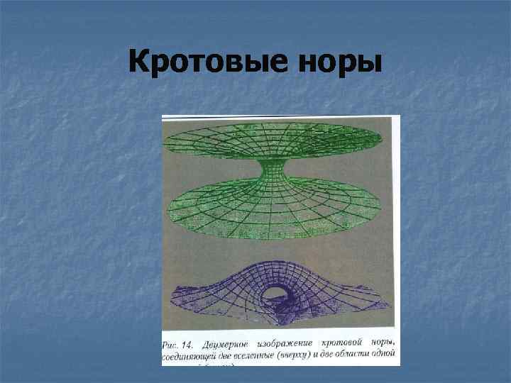 Кротовые норы 