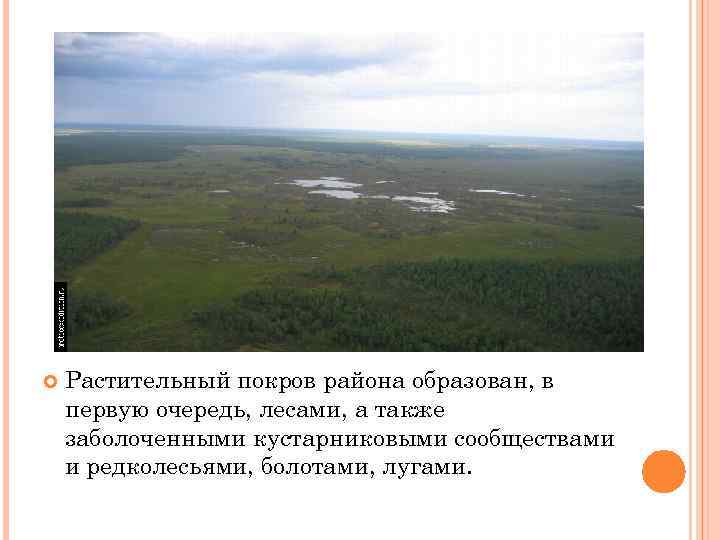  Растительный покров района образован, в первую очередь, лесами, а также заболоченными кустарниковыми сообществами