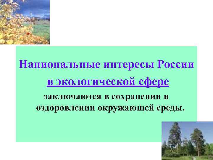 Национальные интересы России в экологической сфере заключаются в сохранении и оздоровлении окружающей среды. 