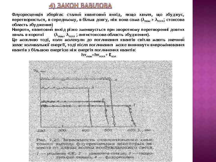 Флуоресценція зберігає сталий квантовий вихід, якщо хвиля, що збуджує, перетворюється, в середньому, в більш