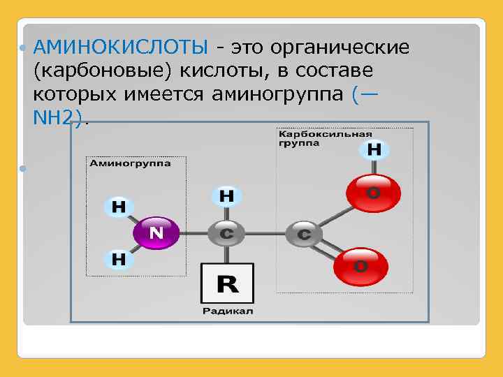 Аминокислоты это