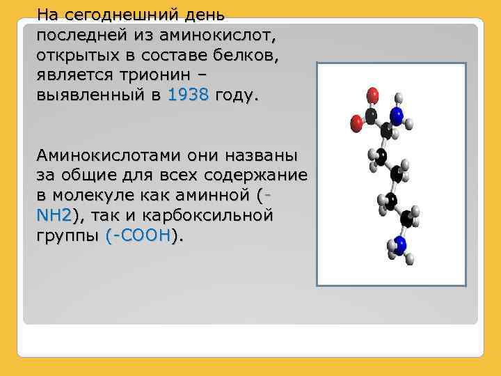 На сегоднешний день последней из аминокислот, открытых в составе белков, является трионин – выявленный