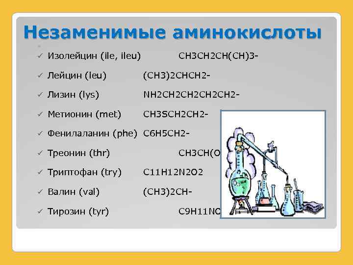 Незаменимые аминокислоты ü Изолейцин (ile, ileu) ü Лейцин (leu) (CH 3)2 CHCH 2 -