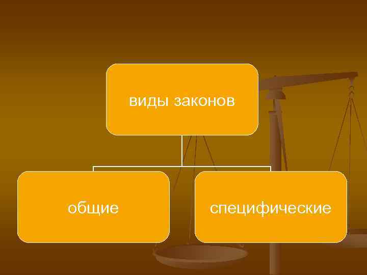 виды законов общие специфические 