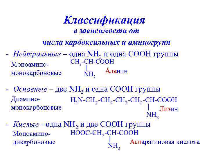 Классификация в зависимости от числа карбоксильных и аминогрупп - Нейтральные – одна NH 2