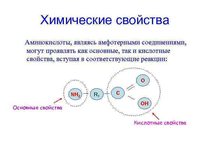 Свойства аминокислот