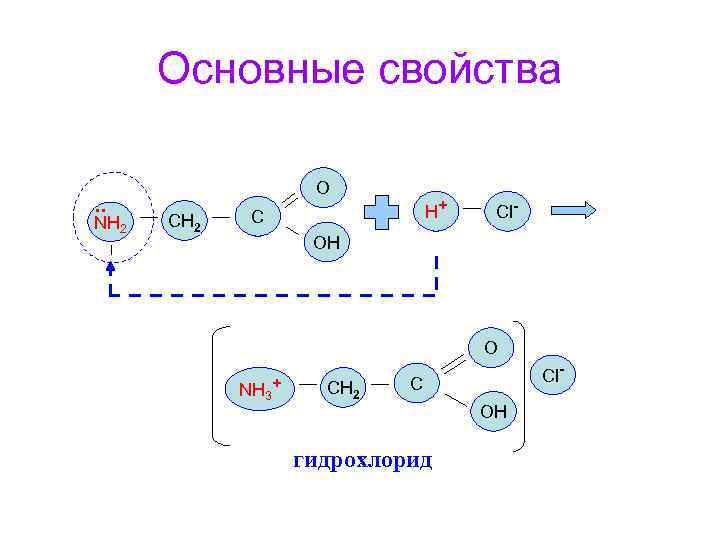 Основные свойства. . NH 2 О CH 2 H+ C Cl- OH О NH