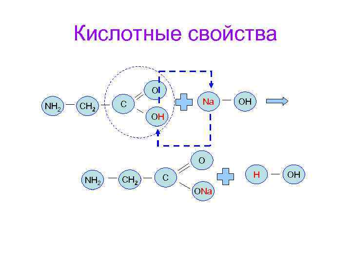 Кислотные свойства O NH 2 CH 2 Na C OH OH О NH 2