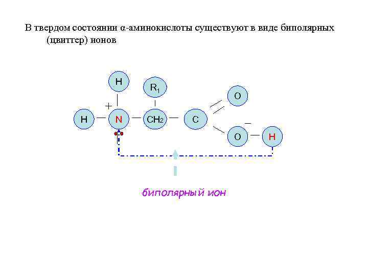 В твердом состоянии α-аминокислоты существуют в виде биполярных (цвиттер) ионов H H N R