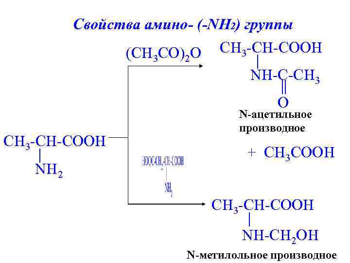 Свойства амино- (-NH 2) группы (CH СO) O CH 3 -CH-COOH 3 2 NH-C-CH