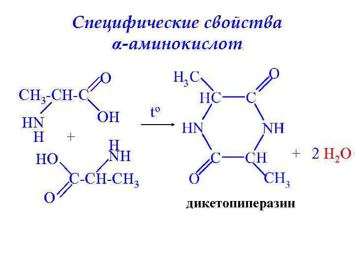 Специфические свойства α-аминокислот CH 3 -CH-C O OH HN H + H NH HO