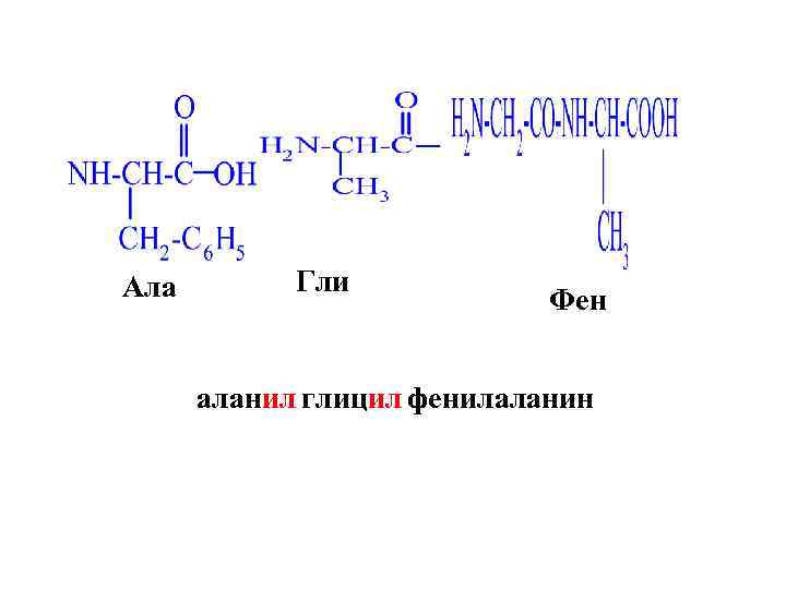 Глутамил гистидил фенилаланил пролил глицил пролин
